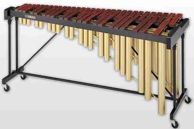 Explore The Musical Instruments That Start With M