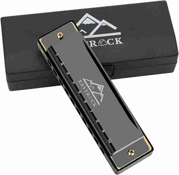 EastRock Blues Harmonica Mouth Organ 10 Hole C Key with Case Diatonic Harmonica for Professional Player Beginner Students gifts Adult Friends Gift Black Harmonic Horizons: A Guide to Musical Instruments That Start With H